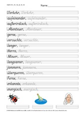 DSS_2S_Bu_er_Nr_09.pdf